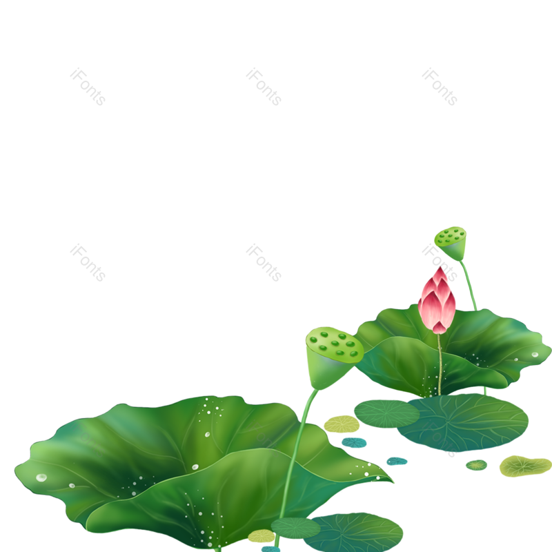 叶子图片,户外元素,插画PNG,花草免抠素材